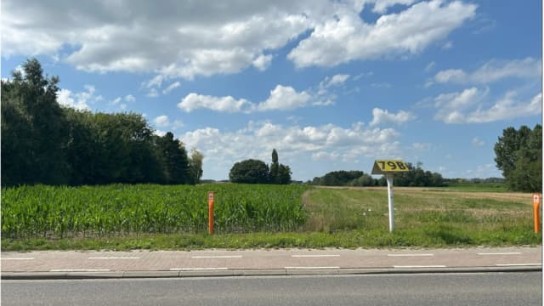 Landweg met groen veld, blauwe lucht met wolken en een bord met nummer 796 langs de weg. (vergroot foto)